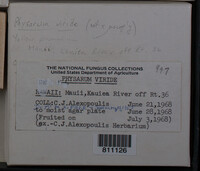 Image Associated With the Occurence